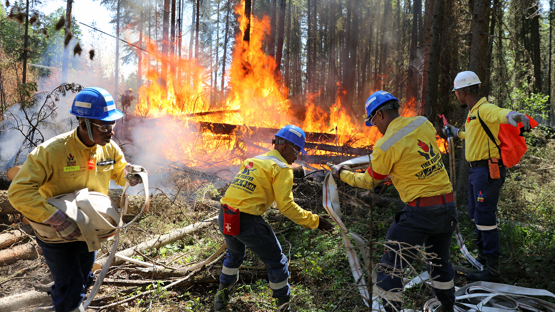 Firefighters working together to place a fire hose at a fire before them